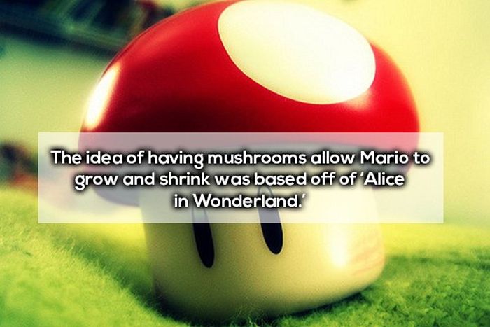 Mario Facts (18 pics)