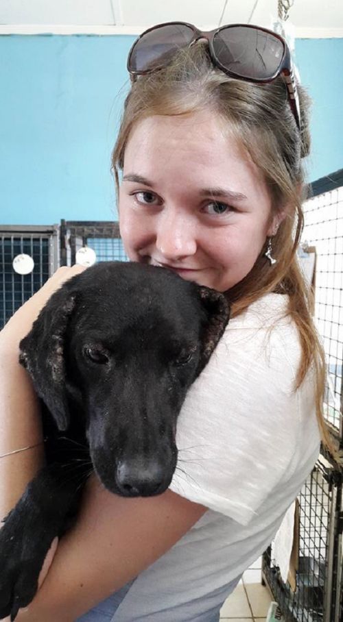 Amazing Transformation Of A Rescued Dog (8 pics)