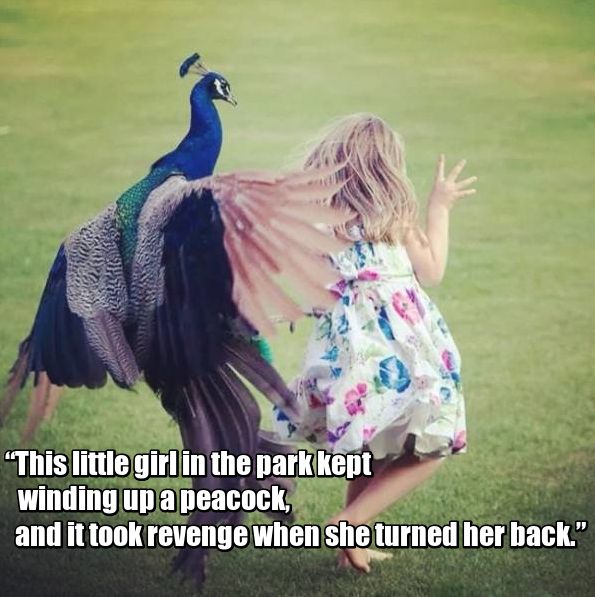 Revenge Is The Sweetest When Served Cold (24 pics)