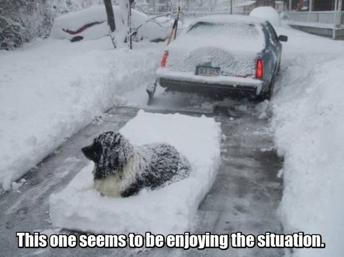 Revenge Is The Sweetest When Served Cold (24 pics)