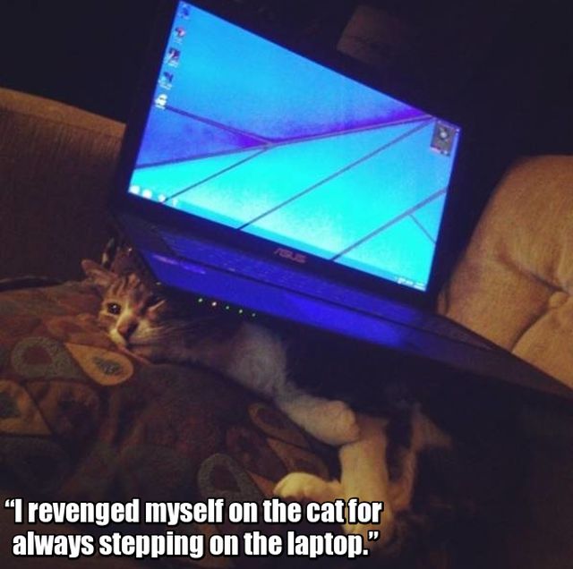 Revenge Is The Sweetest When Served Cold (24 pics)