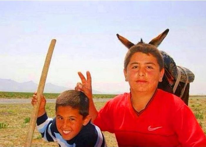 Revenge Is The Sweetest When Served Cold (24 pics)