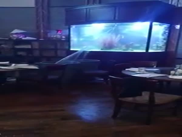 Restaurant Floods After Massive Aquarium Cracks