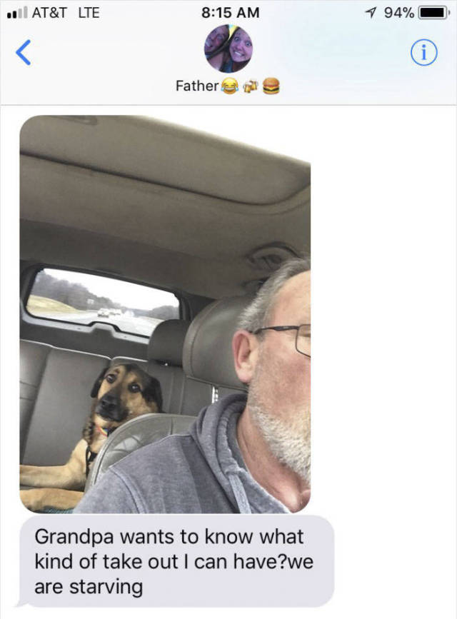 When Grandpa Babysits A Dog (12 pics)