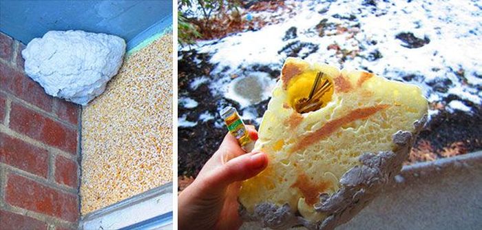 Places To Hide Your Valuables From Thieves (29 pics)