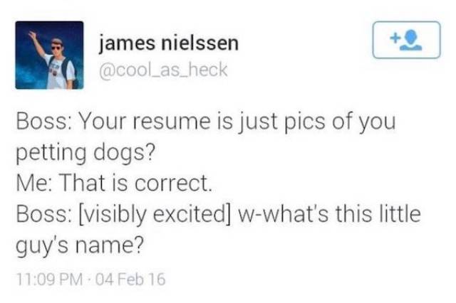 Job Interview Memes (31 pics)