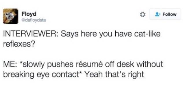 Job Interview Memes (31 pics)