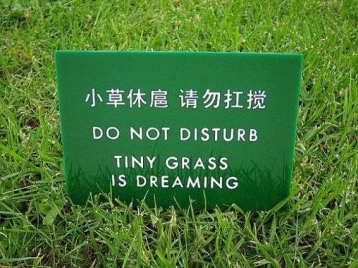 Translation Fails Are Always Hilarious (26 pics)
