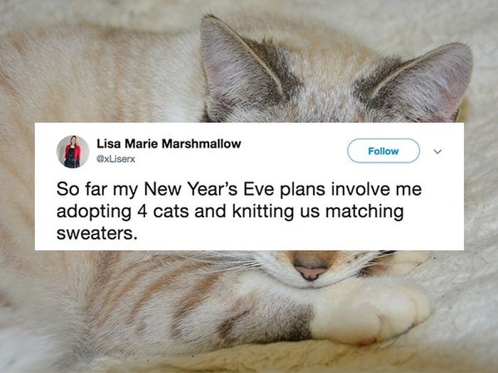 Funny New Year's Tweets (18 pics)