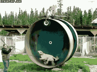 Acid Gifdump, January 03, 2018 (25 gifs)