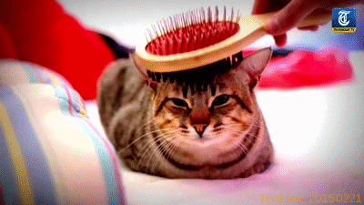 Acid Gifdump, January 03, 2018 (25 gifs)