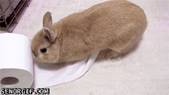 Acid Gifdump, January 03, 2018 (25 gifs)