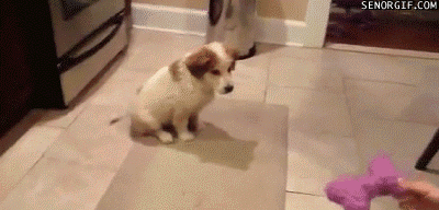 Acid Gifdump, January 03, 2018 (25 gifs)