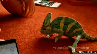 Acid Gifdump, January 03, 2018 (25 gifs)