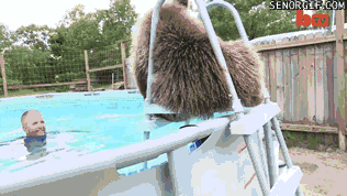Acid Gifdump, January 03, 2018 (25 gifs)