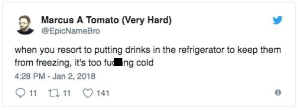 “Bomb Cyclone” Tweets (28 pics)