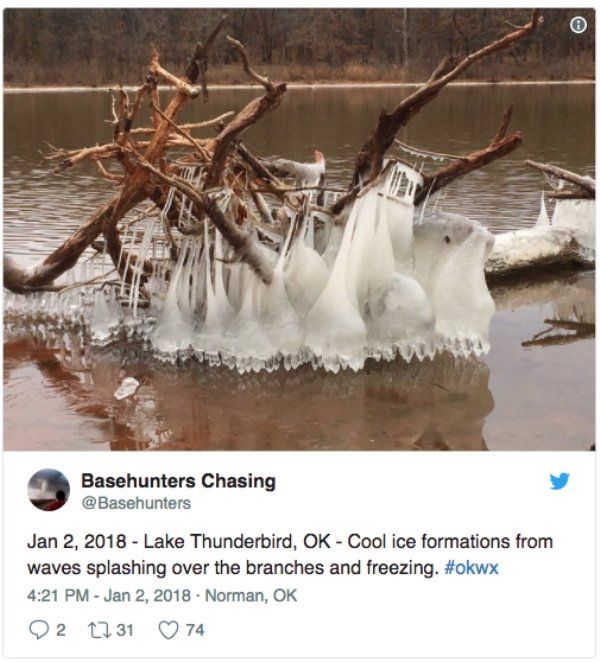 “Bomb Cyclone” Tweets (28 pics)