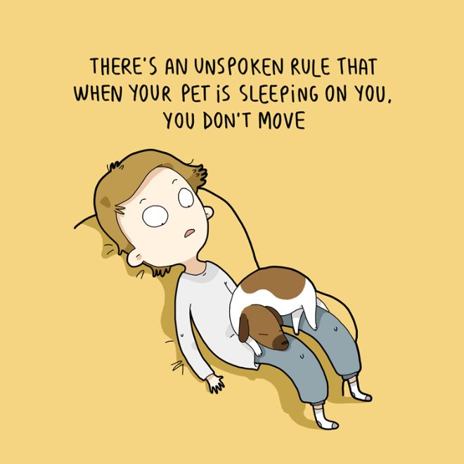 10 Illustrations Every Dog Owner Can Relate To (10 pics)
