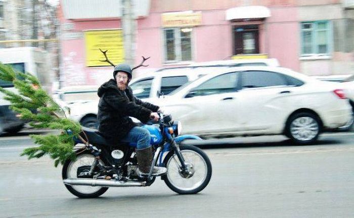 Acid Picdump (90 pics)