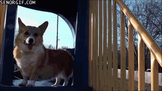 Acid Gifdump, January 08, 2018 (25 gifs)