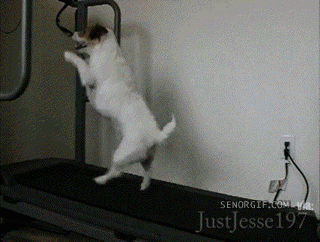 Acid Gifdump, January 08, 2018 (25 gifs)