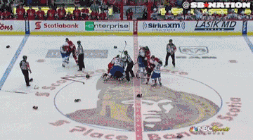 Hockey Fights (16 gifs)