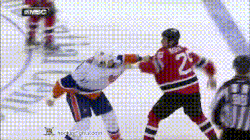 Hockey Fights (16 gifs)