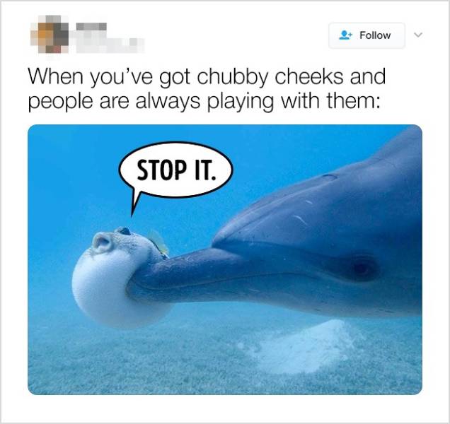 Funny Jokes (24 pics)