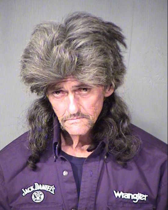 Funny Hair Mugshots (19 pics)