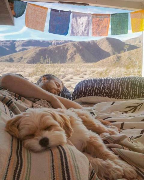 Pics From ‘Project Van Life’ Instagram That Will Make You Wanna Quit Your Job And Travel The World (49 pics)