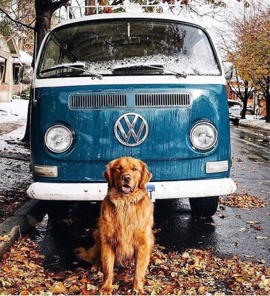 Pics From ‘Project Van Life’ Instagram That Will Make You Wanna Quit Your Job And Travel The World (49 pics)