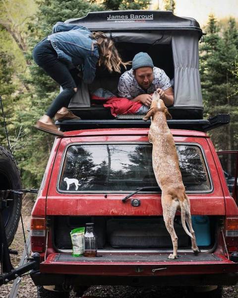 Pics From ‘Project Van Life’ Instagram That Will Make You Wanna Quit Your Job And Travel The World (49 pics)