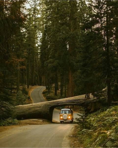 Pics From ‘Project Van Life’ Instagram That Will Make You Wanna Quit Your Job And Travel The World (49 pics)
