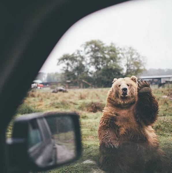Pics From ‘Project Van Life’ Instagram That Will Make You Wanna Quit Your Job And Travel The World (49 pics)