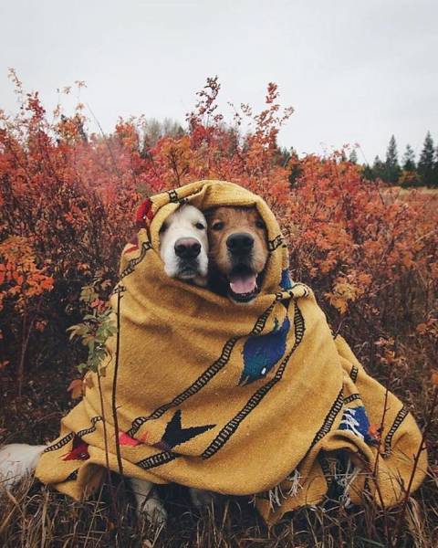 Pics From ‘Project Van Life’ Instagram That Will Make You Wanna Quit Your Job And Travel The World (49 pics)