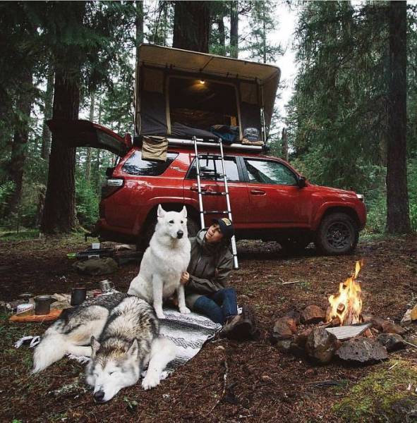 Pics From ‘Project Van Life’ Instagram That Will Make You Wanna Quit Your Job And Travel The World (49 pics)