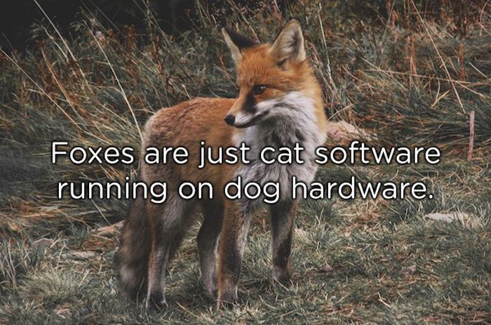 Shower Thoughts (18 pics)