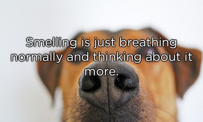 Shower Thoughts (18 pics)