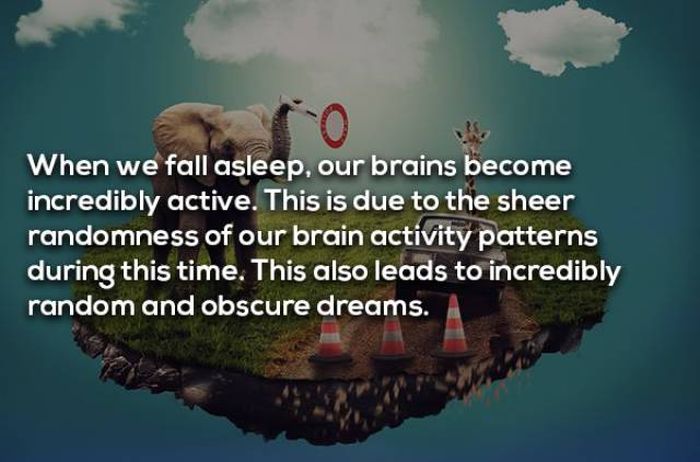 Facts About Dreaming (17 pics)