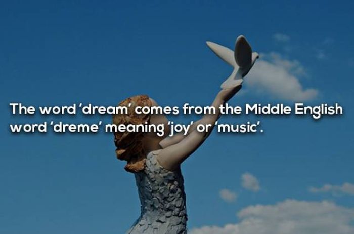 Facts About Dreaming (17 pics)