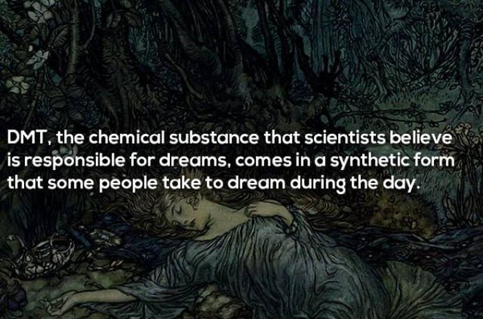 Facts About Dreaming (17 pics)