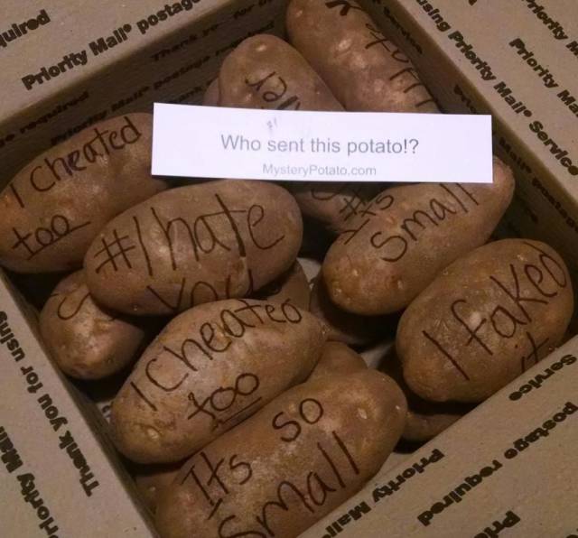 Crazy Exes Revenges (45 pics)