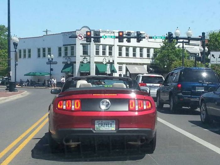 Crazy Exes Revenges (45 pics)