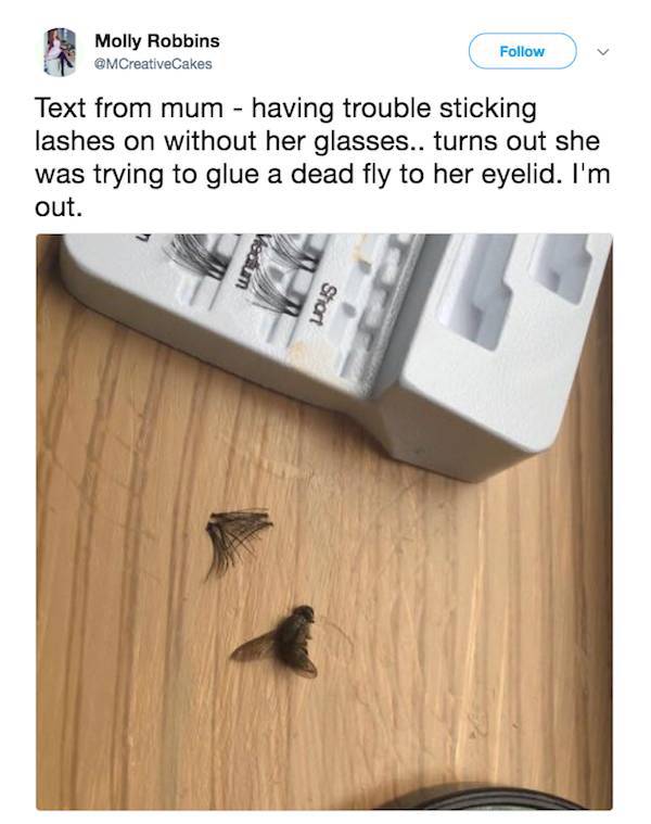 Dumb People (23 pics)