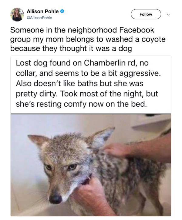 Dumb People (23 pics)
