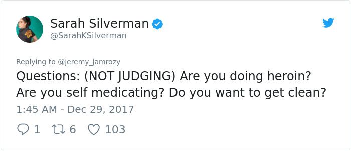 Sexist Troll Attacks Sarah Silverman On Twitter. She Responses (26 pics)