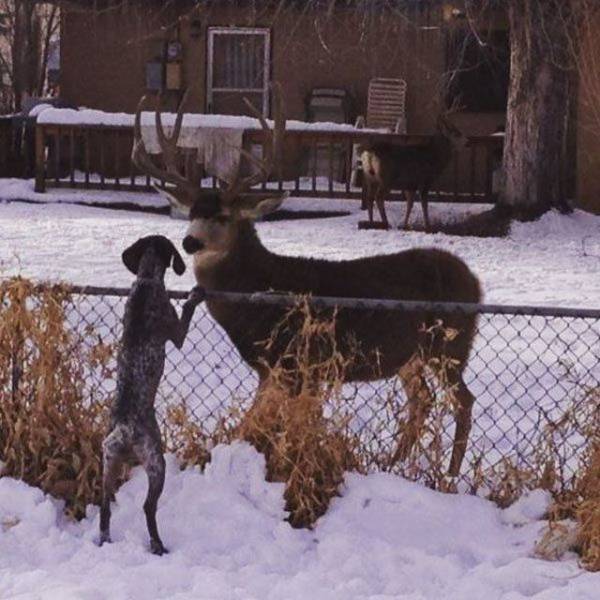 Acid Picdump (94 pics)
