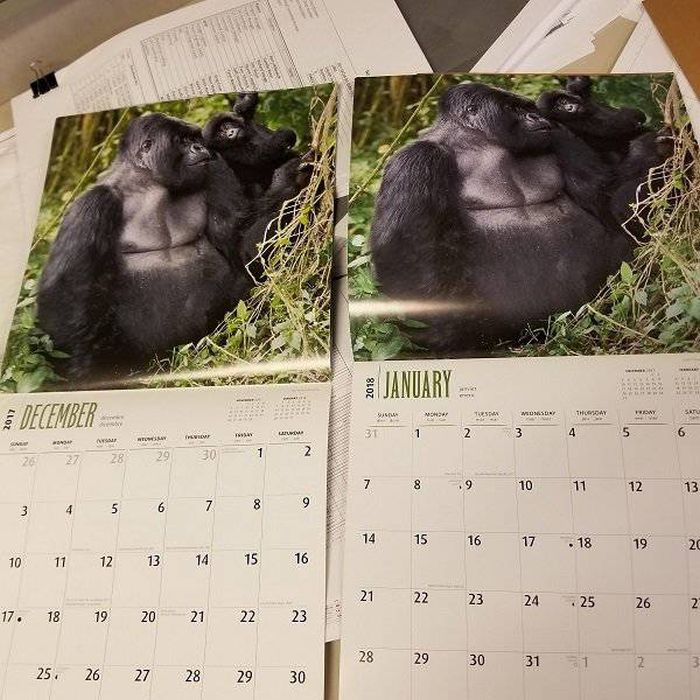 It's So Wrong (22 pics)