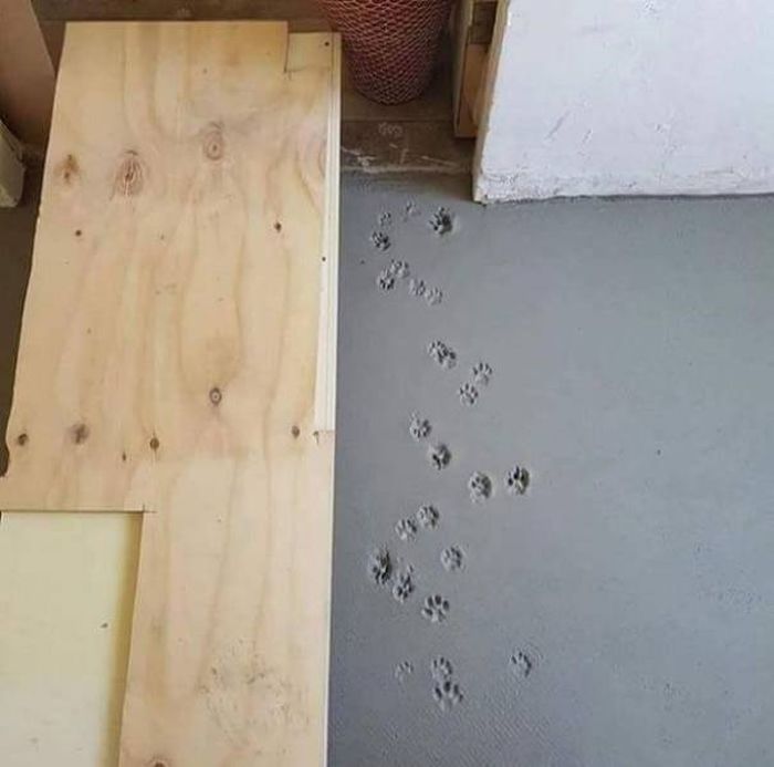 It's So Wrong (22 pics)