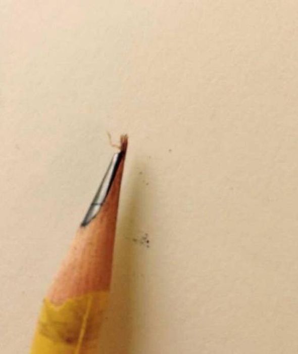 It's So Wrong (22 pics)